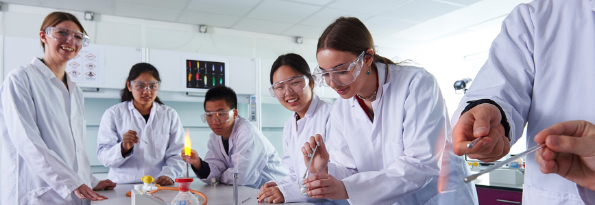 Students in the Laboratory performing experiments.